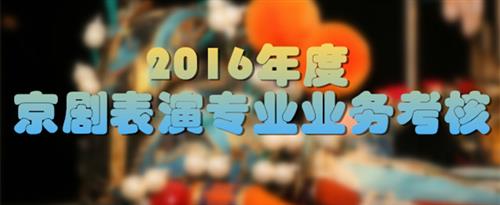 国产操B国家京剧院2016年度京剧表演专业业务考...